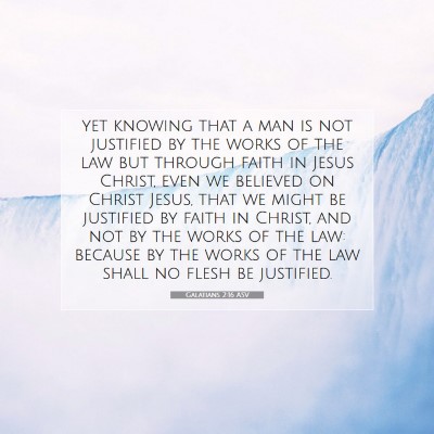 Picture 07 - Galatians 2:16 ASV - yet knowing that a man is not justified by the - Bible Verse Picture