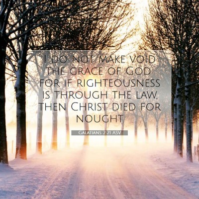 Picture 07 - Galatians 2:21 ASV - I do not make void the grace of God: for if - Bible Verse Picture
