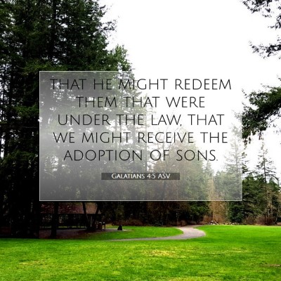 Picture 07 - Galatians 4:5 ASV - that he might redeem them that were under the - Bible Verse Picture