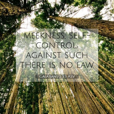 Picture 07 - Galatians 5:23 ASV - meekness, self-control; against such there is no - Bible Verse Picture
