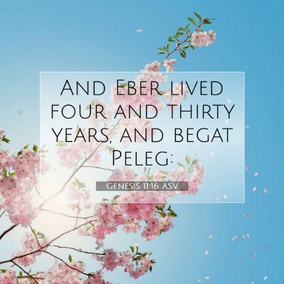 Picture 07 - Genesis 11:16 ASV - And Eber lived four and thirty years, and begat - Bible Verse Picture