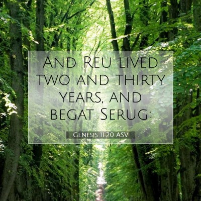 Picture 07 - Genesis 11:20 ASV - And Reu lived two and thirty years, and begat - Bible Verse Picture
