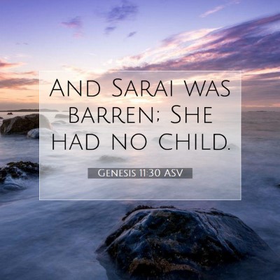 Picture 07 - Genesis 11:30 ASV - And Sarai was barren; She had no - Bible Verse Picture