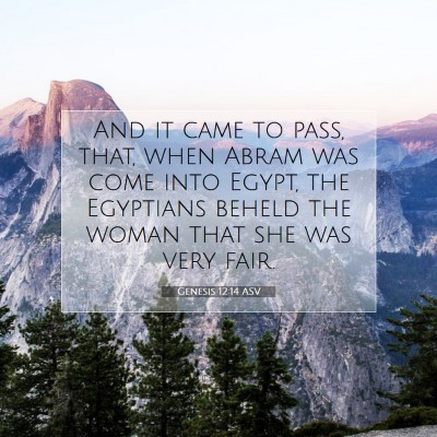 Picture 07 - Genesis 12:14 ASV - And it came to pass, that, when Abram was come - Bible Verse Picture