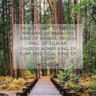 Picture 07 - Genesis 14:1 ASV - And it came to pass in the days of Amraphel king - Bible Verse Picture