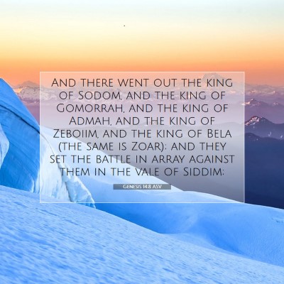 Picture 07 - Genesis 14:8 ASV - And there went out the king of Sodom, and the - Bible Verse Picture