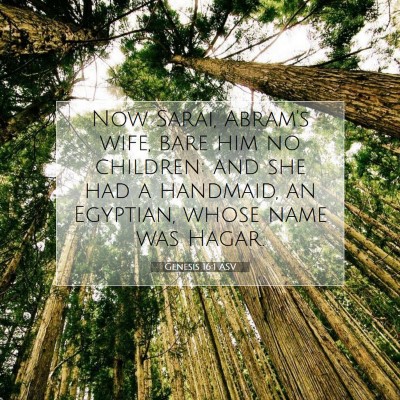 Picture 07 - Genesis 16:1 ASV - Now Sarai, Abram's wife, bare him no children: - Bible Verse Picture