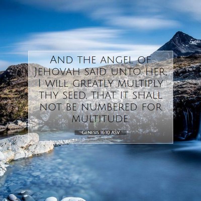 Picture 07 - Genesis 16:10 ASV - And the angel of Jehovah said unto her, I will - Bible Verse Picture