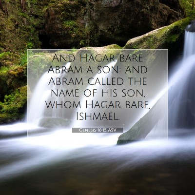Picture 07 - Genesis 16:15 ASV - And Hagar bare Abram a son: and Abram called the - Bible Verse Picture