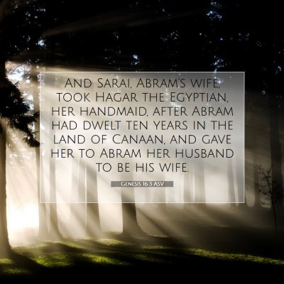 Picture 07 - Genesis 16:3 ASV - And Sarai, Abram's wife, took Hagar the Egyptian, - Bible Verse Picture
