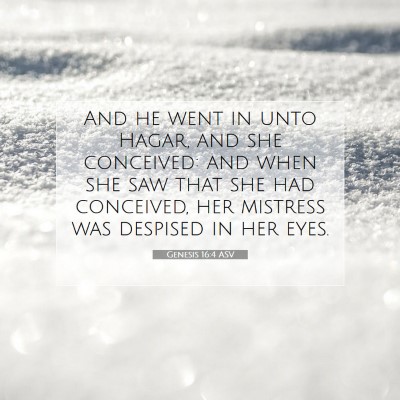 Picture 07 - Genesis 16:4 ASV - And he went in unto Hagar, and she conceived: and - Bible Verse Picture