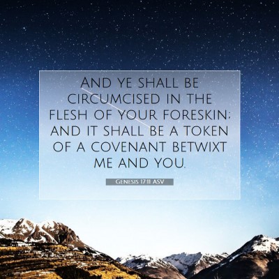 Picture 07 - Genesis 17:11 ASV - And ye shall be circumcised in the flesh of your - Bible Verse Picture
