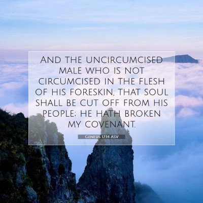 Picture 07 - Genesis 17:14 ASV - And the uncircumcised male who is not circumcised - Bible Verse Picture
