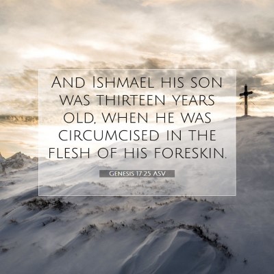 Picture 07 - Genesis 17:25 ASV - And Ishmael his son was thirteen years old, when - Bible Verse Picture
