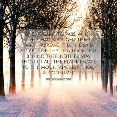 Picture 07 - Genesis 19:17 ASV - And it came to pass, when they had brought them - Bible Verse Picture