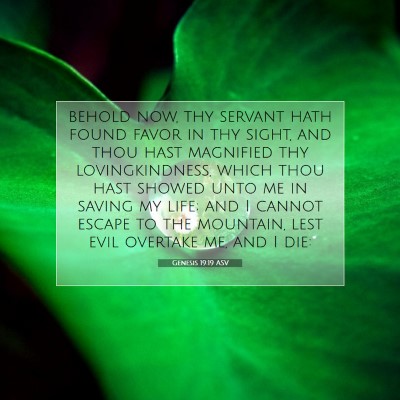 Picture 07 - Genesis 19:19 ASV - behold now, thy servant hath found favor in thy - Bible Verse Picture
