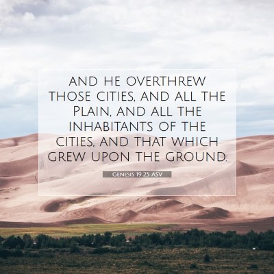 Picture 07 - Genesis 19:25 ASV - and he overthrew those cities, and all the Plain, - Bible Verse Picture