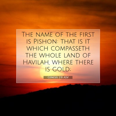 Picture 07 - Genesis 2:11 ASV - The name of the first is Pishon: that is it which - Bible Verse Picture