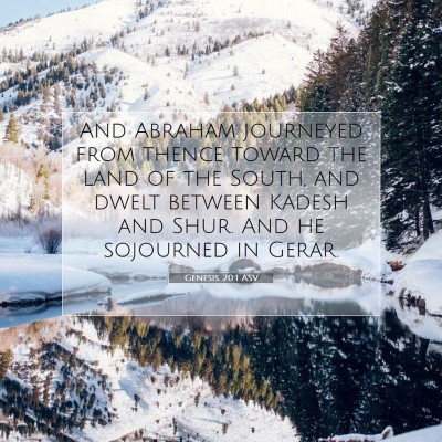 Picture 07 - Genesis 20:1 ASV - And Abraham journeyed from thence toward the land - Bible Verse Picture