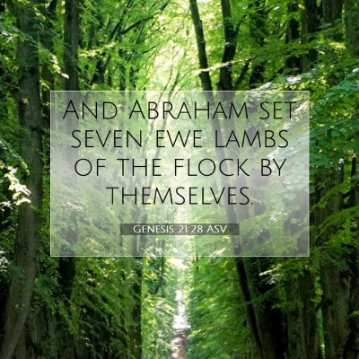 Picture 07 - Genesis 21:28 ASV - And Abraham set seven ewe lambs of the flock by - Bible Verse Picture
