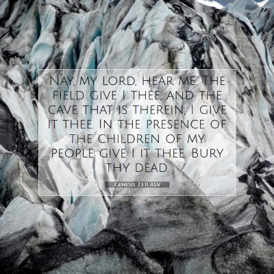 Picture 07 - Genesis 23:11 ASV - Nay, my lord, hear me. The field give I thee, and - Bible Verse Picture