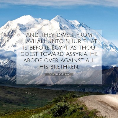Picture 07 - Genesis 25:18 ASV - And they dwelt from Havilah unto Shur that is - Bible Verse Picture