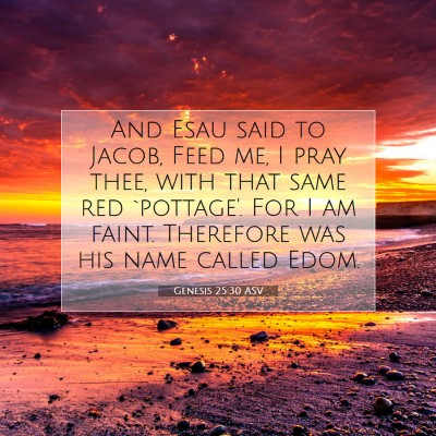 Picture 07 - Genesis 25:30 ASV - And Esau said to Jacob, Feed me, I pray thee, - Bible Verse Picture