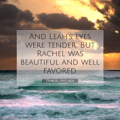 Picture 07 - Genesis 29:17 ASV - And Leah's eyes were tender. But Rachel was - Bible Verse Picture