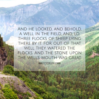 Picture 07 - Genesis 29:2 ASV - And he looked, and behold, a well in the field, - Bible Verse Picture