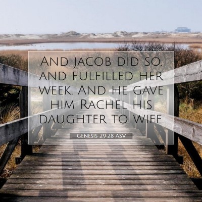 Picture 07 - Genesis 29:28 ASV - And jacob did so, and fulfilled her week. And he - Bible Verse Picture