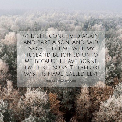Picture 07 - Genesis 29:34 ASV - And she conceived again, and bare a son. And - Bible Verse Picture