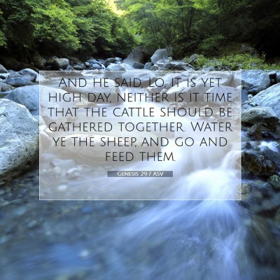 Picture 07 - Genesis 29:7 ASV - And he said, Lo, it is yet high day, neither is - Bible Verse Picture
