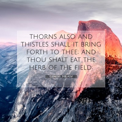 Picture 07 - Genesis 3:18 ASV - thorns also and thistles shall it bring forth to - Bible Verse Picture