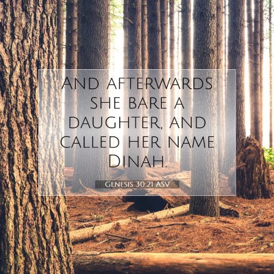 Picture 07 - Genesis 30:21 ASV - And afterwards she bare a daughter, and called - Bible Verse Picture