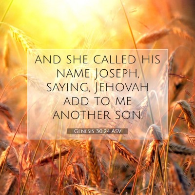 Picture 07 - Genesis 30:24 ASV - and she called his name Joseph, saying, Jehovah - Bible Verse Picture