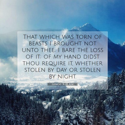 Picture 07 - Genesis 31:39 ASV - That which was torn of beasts I brought not unto - Bible Verse Picture