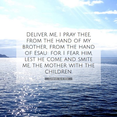 Picture 07 - Genesis 32:11 ASV - Deliver me, I pray thee, from the hand of my - Bible Verse Picture