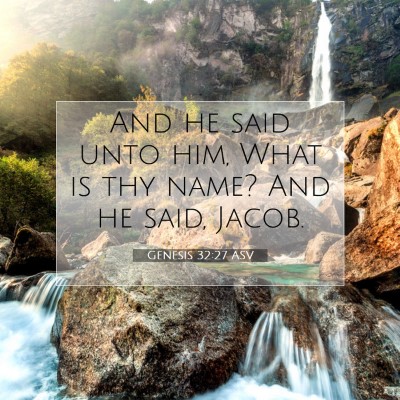 Picture 07 - Genesis 32:27 ASV - And he said unto him, What is thy name? And he - Bible Verse Picture