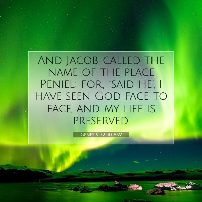 Picture 07 - Genesis 32:30 ASV - And Jacob called the name of the place Peniel: - Bible Verse Picture
