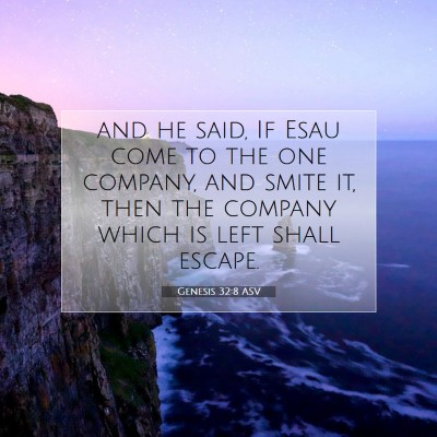 Picture 07 - Genesis 32:8 ASV - and he said, If Esau come to the one company, and - Bible Verse Picture