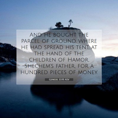 Picture 07 - Genesis 33:19 ASV - And he bought the parcel of ground, where he had - Bible Verse Picture