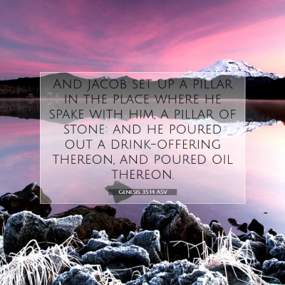 Picture 07 - Genesis 35:14 ASV - And Jacob set up a pillar in the place where he - Bible Verse Picture