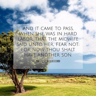 Picture 07 - Genesis 35:17 ASV - And it came to pass, when she was in hard labor, - Bible Verse Picture