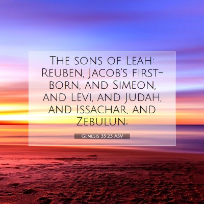 Picture 07 - Genesis 35:23 ASV - The sons of Leah: Reuben, Jacob's first-born, and - Bible Verse Picture