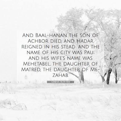 Picture 07 - Genesis 36:39 ASV - And Baal-hanan the son of Achbor died, and Hadar - Bible Verse Picture