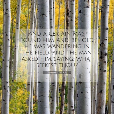 Picture 07 - Genesis 37:15 ASV - And a certain man found him, and, behold, he was - Bible Verse Picture