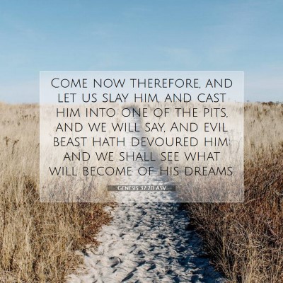 Picture 07 - Genesis 37:20 ASV - Come now therefore, and let us slay him, and cast - Bible Verse Picture