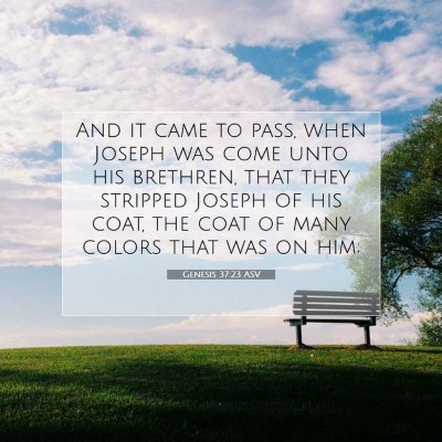 Picture 07 - Genesis 37:23 ASV - And it came to pass, when Joseph was come unto - Bible Verse Picture