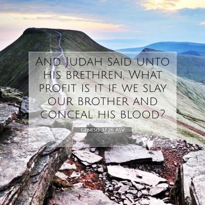 Picture 07 - Genesis 37:26 ASV - And Judah said unto his brethren, What profit is - Bible Verse Picture