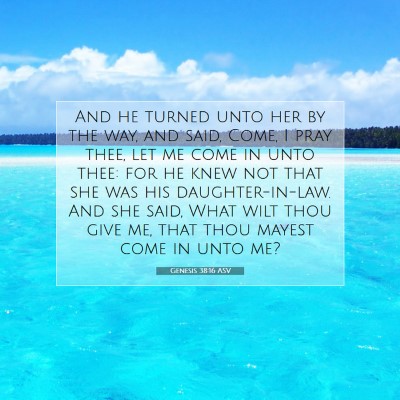 Picture 07 - Genesis 38:16 ASV - And he turned unto her by the way, and said, - Bible Verse Picture